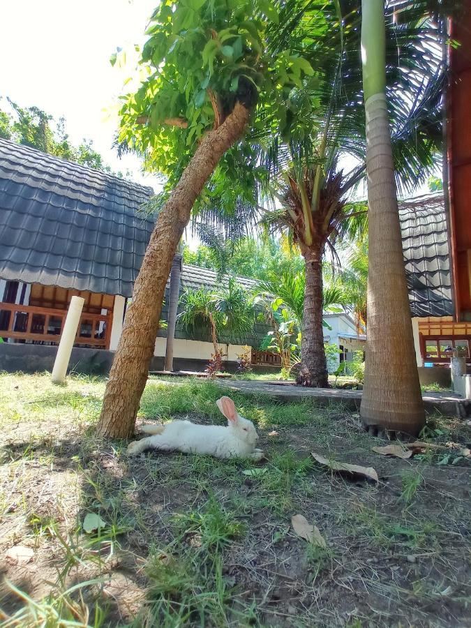 Follow The Rabbit Bungalow Gili Air Esterno foto