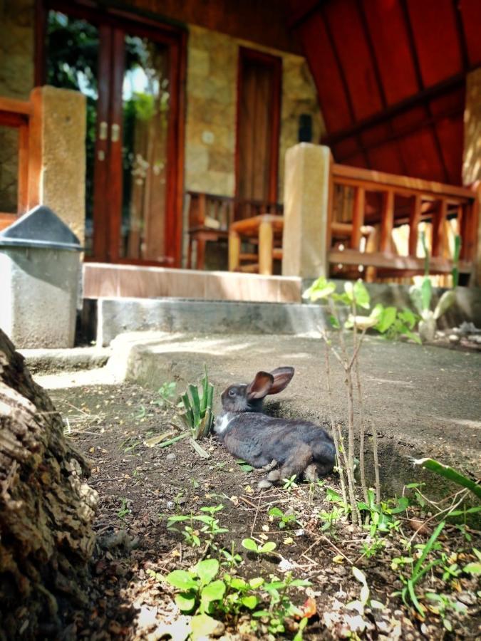 Follow The Rabbit Bungalow Gili Air Esterno foto
