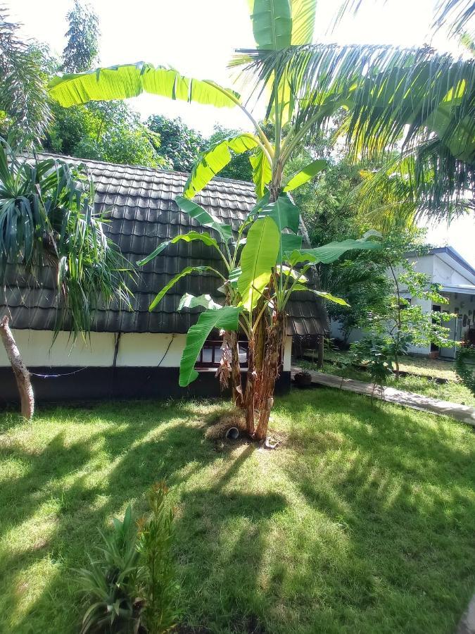 Follow The Rabbit Bungalow Gili Air Esterno foto